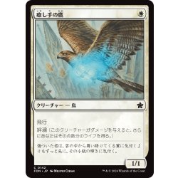 画像1: 【JPN】癒し手の鷹/Healer's Hawk [MTG_FDN_0142_C]