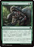 【JPN】噛み締め/Bite Down [MTG_FDN_0212_C]