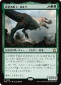【JPN】原初の飢え、ガルタ/Ghalta, Primal Hunger [MTG_FDN_0222_R]