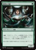 【JPN】温厚な司書/Mild-Mannered Librarian [MTG_FDN_0228_U]