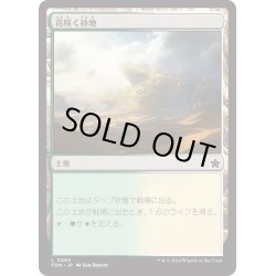 画像1: 【JPN】花咲く砂地/Blossoming Sands [MTG_FDN_0260_C]