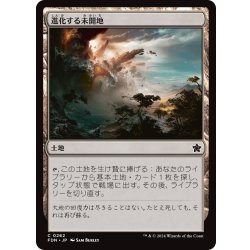画像1: 【JPN】進化する未開地/Evolving Wilds [MTG_FDN_0262_C]