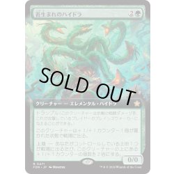 画像1: 【JPN】苔生まれのハイドラ/Mossborn Hydra [MTG_FDN_0471_R]