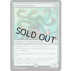 画像1: 【ENG】苔生まれのハイドラ/Mossborn Hydra [MTG_FDN_0107_R]