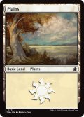 【ENG】平地/Plains[MTG_FDN_0272_C]