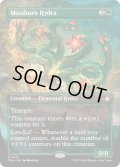 【ENG】苔生まれのハイドラ/Mossborn Hydra [MTG_FDN_0337_R]