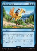 【JPN】世界をめぐる旅/Travel the Overworld[MTG_FIN_0082_U]