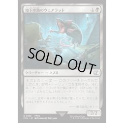 画像1: 【JPN】地下水路のウェアラット/Undercity Dire Rat[MTG_FIN_0123_C]