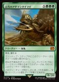 【JPN】古代のアダマンタイマイ/Ancient Adamantoise[MTG_FIN_0172_M]