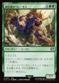 【JPN】闘技場のベヒーモス/Coliseum Behemoth[MTG_FIN_0181_U]