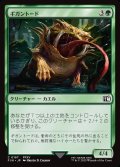 【JPN】ギガントード/Gigantoad[MTG_FIN_0187_C]