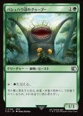 【JPN】パシュハウ沼のグゥーブー/Goobbue Gardener[MTG_FIN_0188_C]