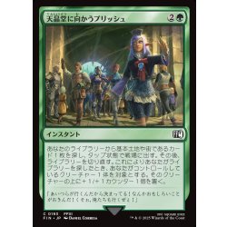 画像1: 【JPN】天晶堂に向かうプリッシュ/Prishe's Wanderings[MTG_FIN_0193_C]