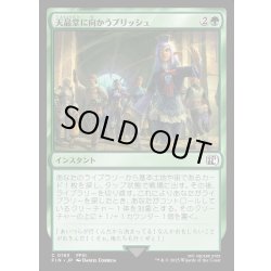 画像1: 【JPN】天晶堂に向かうプリッシュ/Prishe's Wanderings[MTG_FIN_0193_C]