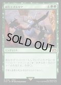 【JPN】新生エオルゼア/A Realm Reborn[MTG_FIN_0196_R]