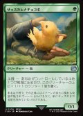 【JPN】サッズのヒナチョコボ/Sazh's Chocobo[MTG_FIN_0200_U]
