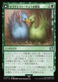 【JPN】サブクエスト：チョコボ育成/黒チョコボ/Sidequest: Raise a Chocobo/Black Chocobo[MTG_FIN_0201_U]