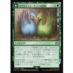 画像1: 【JPN】サブクエスト：チョコボ育成/黒チョコボ/Sidequest: Raise a Chocobo/Black Chocobo[MTG_FIN_0201_U]