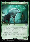 【JPN】盟友、トルガル/Torgal, A Fine Hound[MTG_FIN_0208_U]