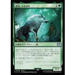 画像1: 【JPN】盟友、トルガル/Torgal, A Fine Hound[MTG_FIN_0208_U]