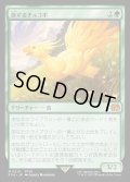 【JPN】旅するチョコボ/Traveling Chocobo[MTG_FIN_0210_M]