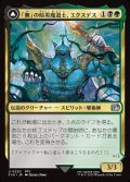 【JPN】「無」の暗黒魔道士、エクスデス/すべてを「無」に帰すもの、ネオエクスデス/Exdeath, Void Warlock/Neo Exdeath, Dimension's End[MTG_FIN_0220_U]