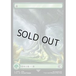 画像1: 【JPN】森/Forest[MTG_FIN_0307_C]
