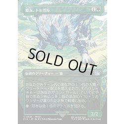 画像1: 【JPN】盟友、トルガル/Torgal, A Fine Hound[MTG_FIN_0345_U]