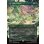 画像1: 【JPN】幻獣との交わり/召喚：幻獣マディン/Esper Origins/Summon: Esper Maduin[MTG_FIN_0370_R] (1)