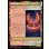 画像2: 【JPN】フェニックスのドミナント、ジョシュア/火の召喚獣、フェニックス/Joshua, Phoenix's Dominant/Phoenix, Warden of Fire[MTG_FIN_0494_R] (2)