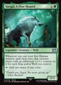 【ENG】盟友、トルガル/Torgal, A Fine Hound[MTG_FIN_0208_U]