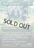 【ENG】盟友、トルガル/Torgal, A Fine Hound[MTG_FIN_0345_U]