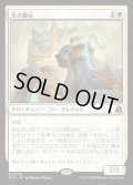 【JPN】光の腹心/Enlightened Confidant[MTG_FRA_0005_M]