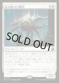 【JPN】見え隠れする猟犬/Flickering Hound[MTG_FRA_0007_R]