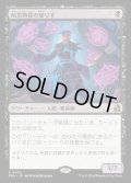 【JPN】暗黒物質の操り手/Dark Matter Manipulator[MTG_FRA_0052_R]