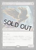 【JPN】夜光のフェニックス/Darklight Phoenix[MTG_FRA_0053_M]