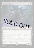 【JPN】聖域に潜むもの/Sanctum Lurker[MTG_FRA_0064_R]