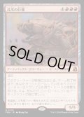 【JPN】孔爪の巨像/Craterclaw Colossus[MTG_FRA_0078_M]