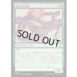 画像1: 【JPN】秘儀の両頭蛇/Arcane Amphisbaena[MTG_FRA_0097_C]