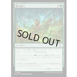 画像1: 【JPN】獣の乱入/Bestial Incursion[MTG_FRA_0098_C]