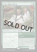 【JPN】人喰い植物の耕作者/Carnivorous Cultivator[MTG_FRA_0100_R]