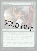 【JPN】救う価値あり/Something Worth Saving[MTG_FRA_0114_C]