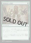 【JPN】繋操魔道士の優位/Tethermage's Advantage[MTG_FRA_0117_C]
