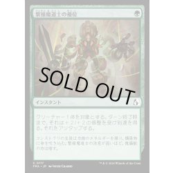 画像1: 【JPN】繋操魔道士の優位/Tethermage's Advantage[MTG_FRA_0117_C]