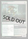 【JPN】救急植療士/Emergency Phytomedic[MTG_FRA_0130_C]
