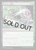 【JPN】狩りという暴挙/Ferocity of the Hunt[MTG_FRA_0134_C]