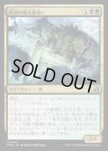 【JPN】原初の魔女跡追い/Primal Witchstalker[MTG_FRA_0144_U]