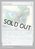 【JPN】医学生の帆凧/Medic's Kitesail[MTG_FRA_0173_C]