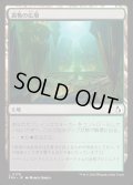 【JPN】畏怖の広場/Formidable Commons[MTG_FRA_0178_L]