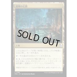画像1: 【JPN】避難の広間/Room of Refuge[MTG_FRA_0188_C]